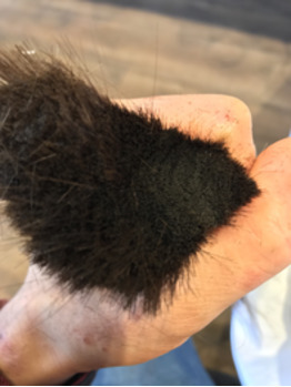 ロブに_20181205_2