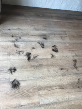 キッズカット_20180804_3