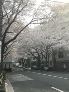 4月から土曜日の営業時間が変更になります！_20180331_1