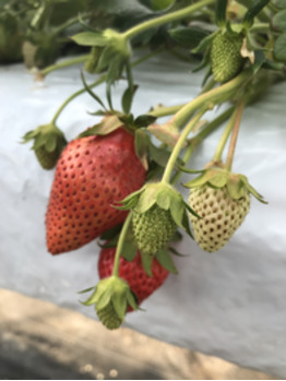 バスツアー_20180225_3