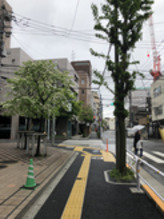 ブログ画像